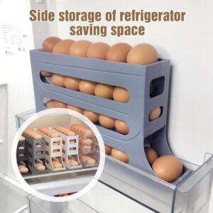 Egg Holder For The Refrigerator