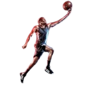 Sports & Fitness